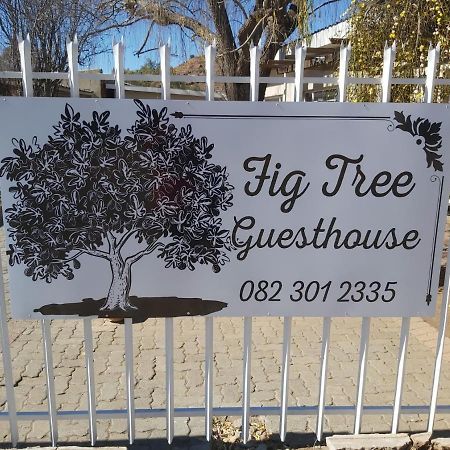 Fig Tree Hotel Colesberg Eksteriør billede